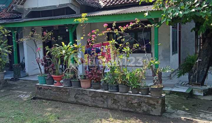 Di Jual Rumah Kampung Luas Di Nambo, Klapanunggal 2
