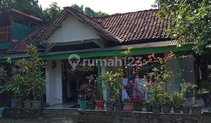 Di Jual Rumah Kampung Luas Di Nambo, Klapanunggal 1