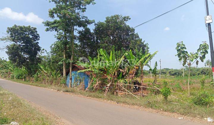 Tanah Kavling di Rawa Tapen Purwadadi Subang Jawa Barat Strategis 2