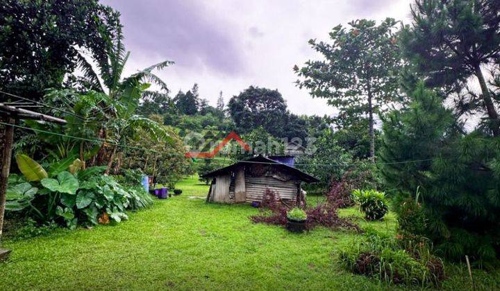 Tanah villa bogor di Pancawati 1