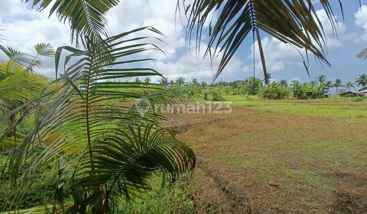 Land in Jalan Pantai Yeh Gangga, Tabanan SHM 10 are 2