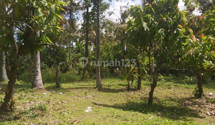 For Sale 16 are Land SHM In Timpag Tabanan 2