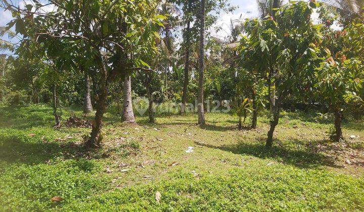 For Sale 16 are Land SHM In Timpag Tabanan 1