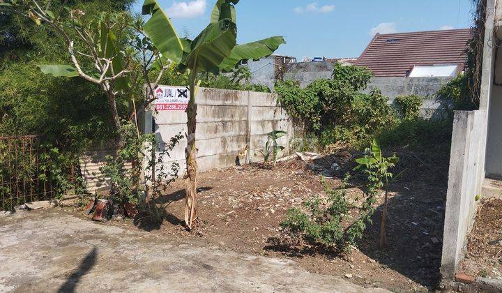 Tanah daerah Srondol kulon tidak banjir, sejuk 1