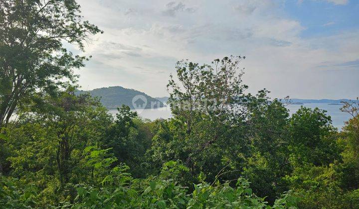 Tanah Seluas 8.960 M2 Shm di Labuan Bajo 2