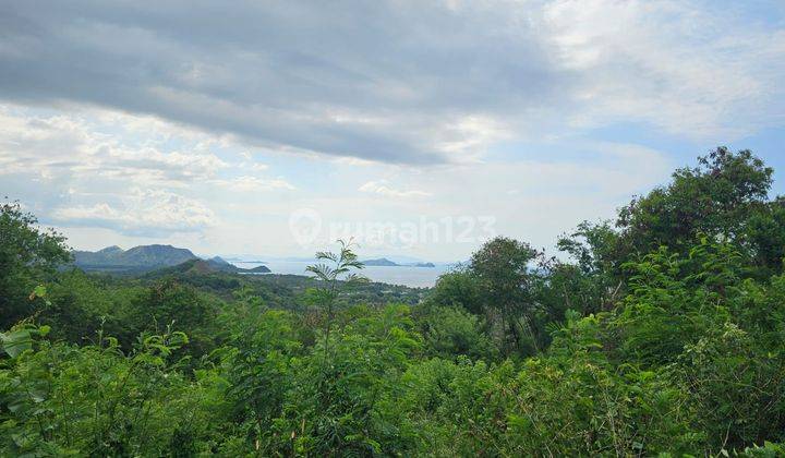 Tanah Seluas 1.463 M2 SHM di Labuan Bajo 2