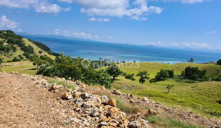 Tanah Seluas 500 M2 SHM di Pulau Kanawa, Labuan Bajo 2