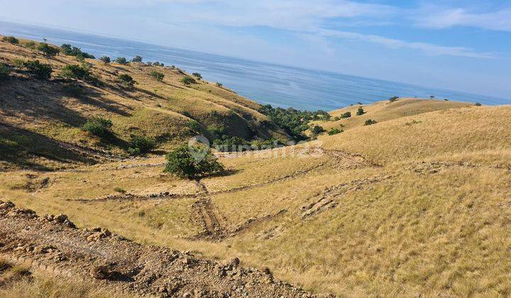 Tanah Seluas 10 Ha SHM di Pulau Seraya Besar,manggarai Barat 2