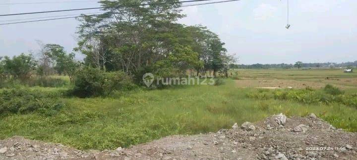 Tanah Darat 20 Ha Strategis di Kronjo Tangerang  1