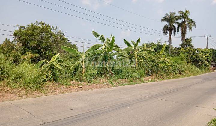 Tanah Kavling Komersil di Tenjo Tangerang 2