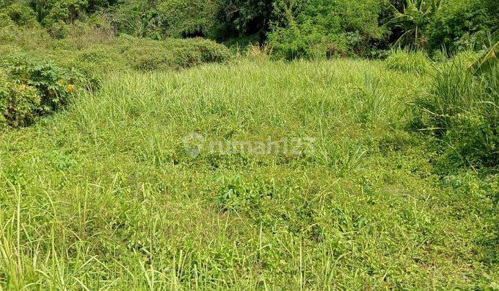 Tanah Kavling Komersil di Tenjo Tangerang 1