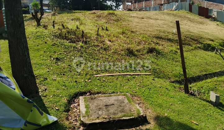 Dijual Kavling Posisi Hook Dikawasan Argenia Sentul City Dijual Kavling Posisi Hook Dikawasan Argenia Sentul City