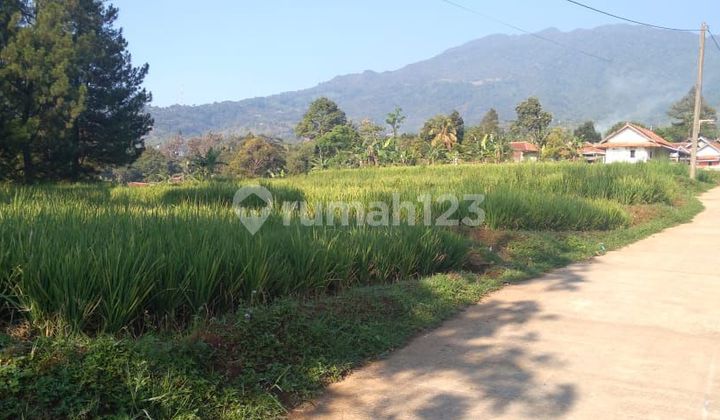 Dijual Tanah Cocok Untuk Villa View Gunung Salak