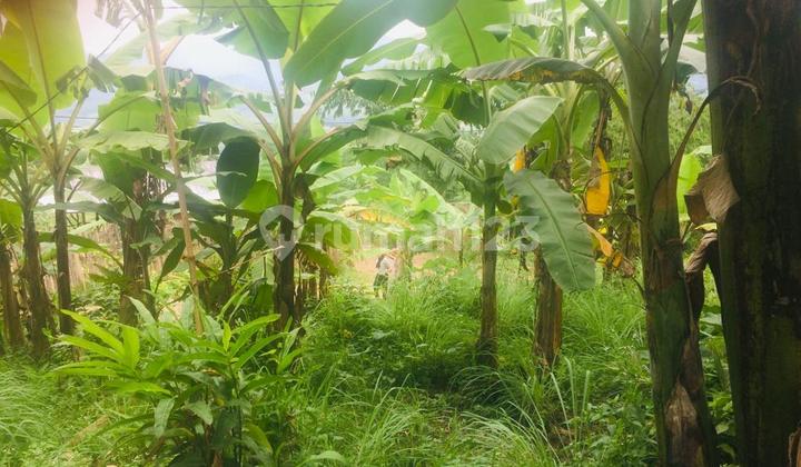 Dijual Tanah Sertifikat Sukamakmur Cibadak Bogor