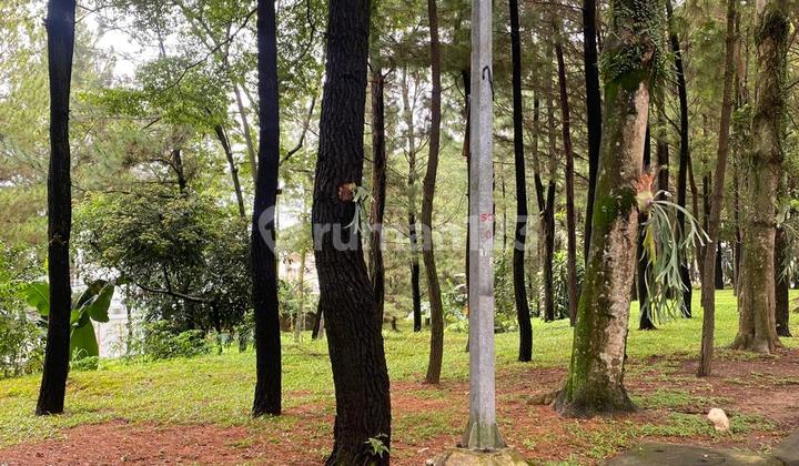 For Sale 3-Storey Luxury House in Front of Green Area, Cluster in Front of Sentul City 2