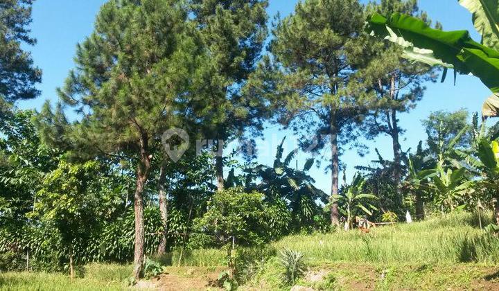 Dijual Tanah Dicigombong Best View Cocok untuk Buka Tempat Wisata
