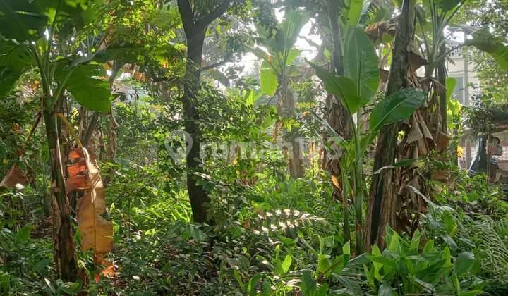 Dijual Cepat Tanah Strategis di Leuwinanggung