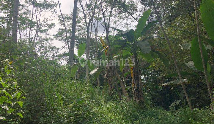 BU!! DIJUAL CEPAT TANAH DEKAT TOL CIBADAK SUKABUMI  1