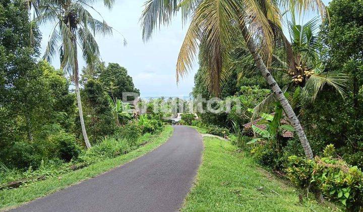 TANAH LAHAN 93 ARE DI SAWE RANGSASA JEMBRANA NEGARA COCOK UNTUK KEBUN 1