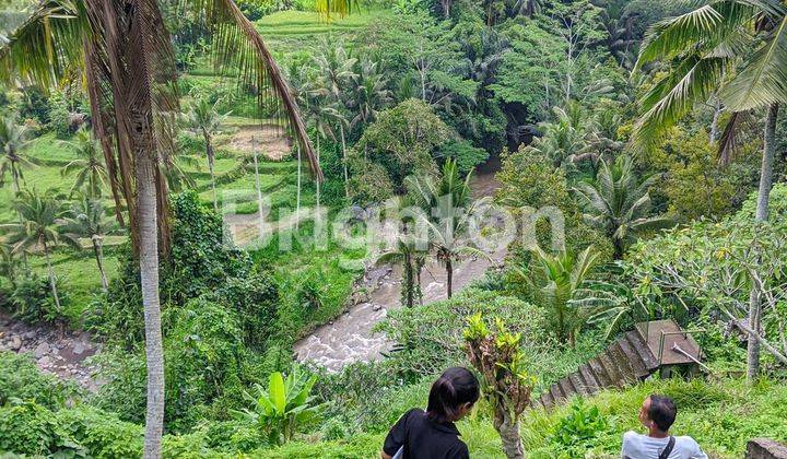 Tanah 3,5 Hektar Di Sayan Ubud Bali Los Sungai Ayung 1