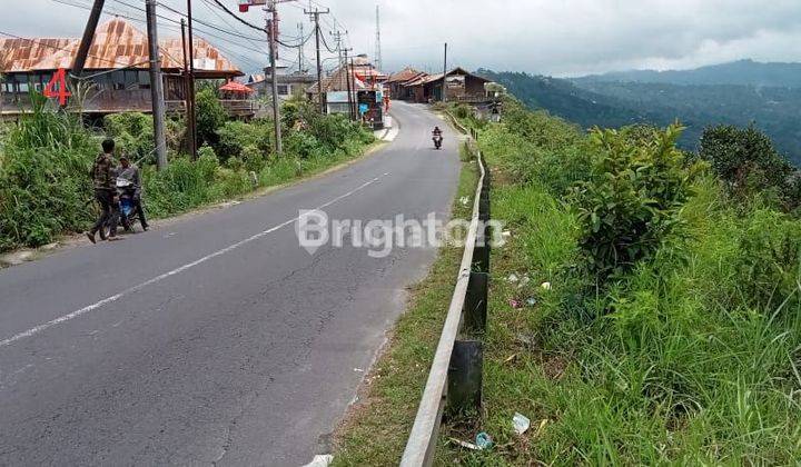 TANAH 24 ARE DI KINTAMANI VIEW GUNUNG COCOK UNTUK KAFE 1