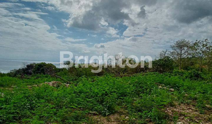 1.5 HECTARES OCEAN VIEW LAND IN CENINGAN NEAR SUKU BEACH CLUB 1