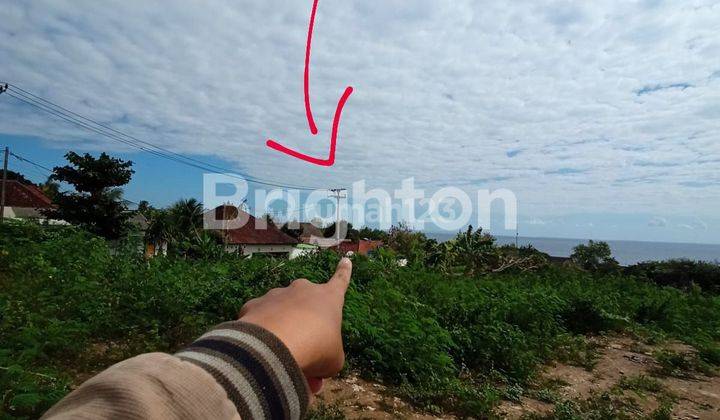 1.5 HECTARES OCEAN VIEW LAND IN CENINGAN NEAR SUKU BEACH CLUB 2