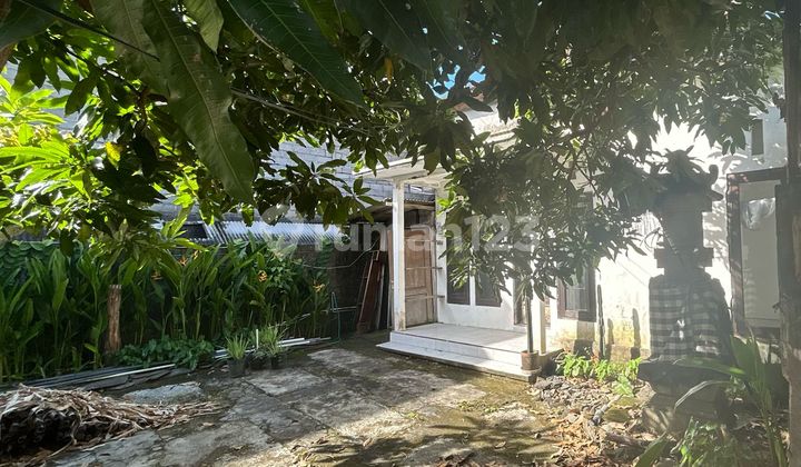 Land For Sale Freehold Leasehold Near New Canggu Shortcut