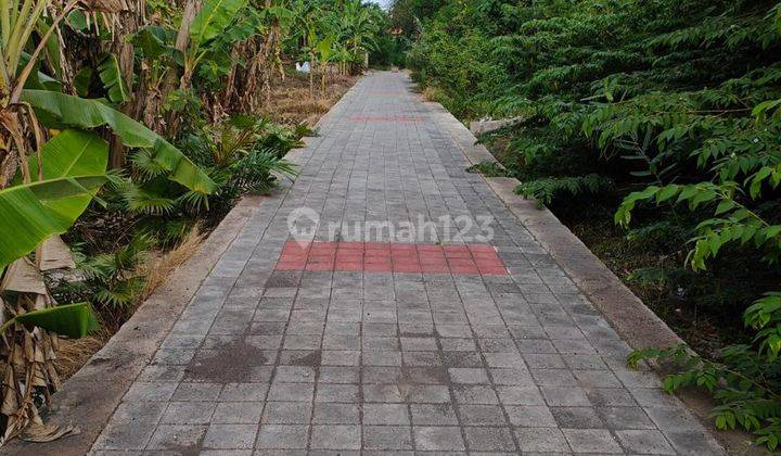 Rare Freehold Small Land Plot 3 Are In Seminyak Walking Distance To The Beach 2