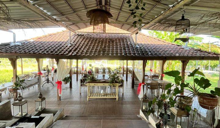 Business Space Suitable for Cafe or Restaurant in Kerobokan Near Seminyak 2