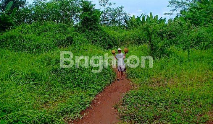 BUTUH  CEPAT LAKU TANAH PANDANSARI BATANG 2