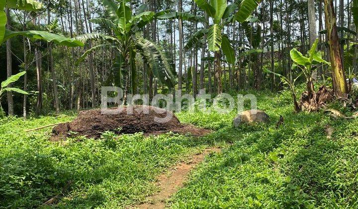 TANAH STRATEGIS COCOK UNTUK CAFE, RESTO, TEMPAT NYAMAN , ADEM,BEBAS BANJIR 1