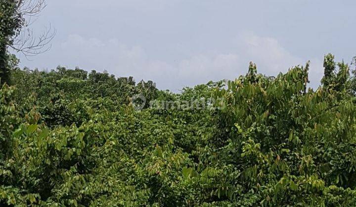 LAHAN BAGUS SIAP BANGUN DI LOKASI STRATEGIS 1