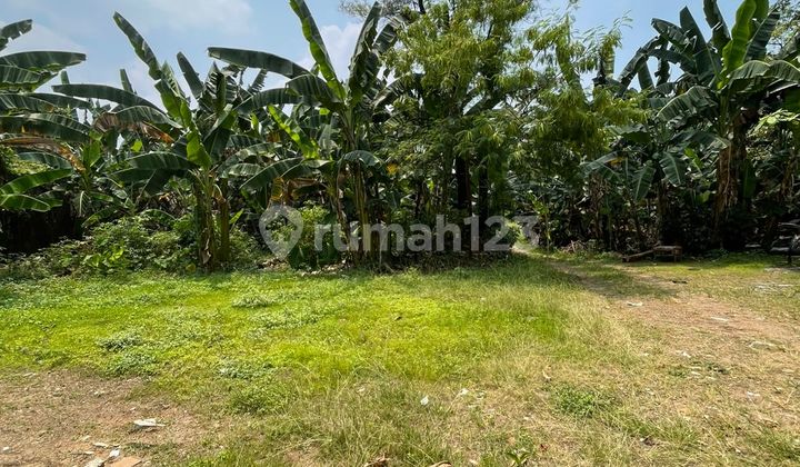 Dijual Lahan Sangat Murah Harga Dibawah NJOP