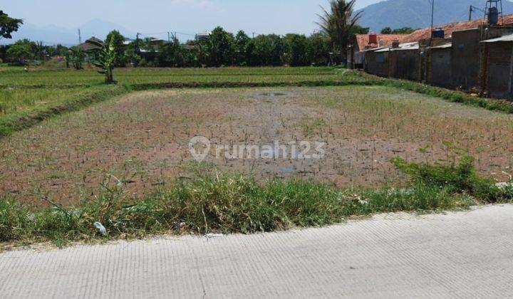 Hot Sale! Lahan Di Lokasi Bagus Cocok Utk Bangun Cluster 1