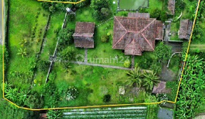 Jual Tanah Bonus Rumah, Cocok Utk Investasi Atau Bangun Villa 2