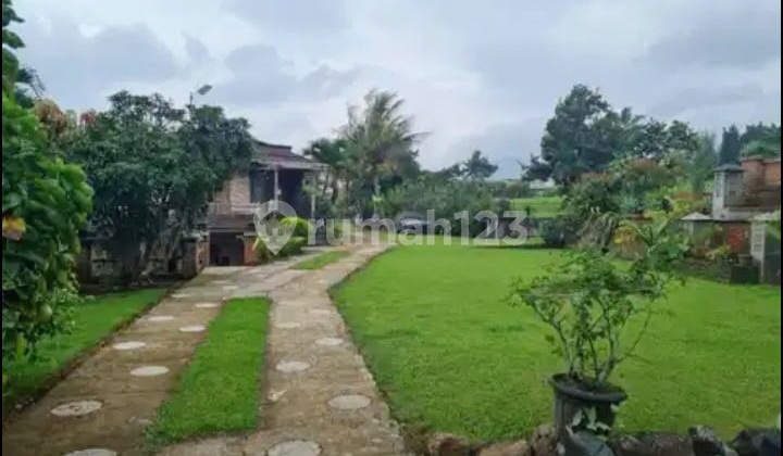 Hot Sale! Villa dengan Hamparan Sawah dan Pegunungan yang Sejuk