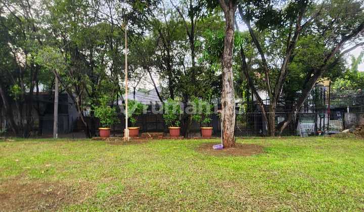 Jual Tanah Bonus Rumah, Cocok Utk Bangun Sport Center Dll Jual Tanah Bonus Rumah, Cocok Utk Bangun Sport Center Dll