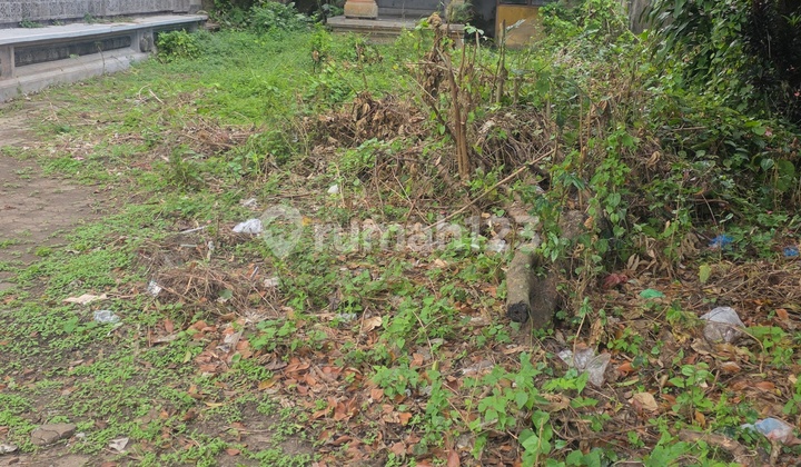 Jual.rumah Second Dekat Bali Zoo Butuh Uang Cepat 2