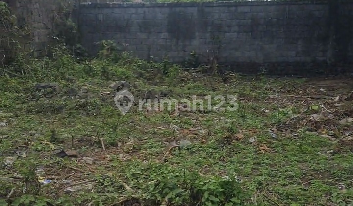Dijual Rumah Singapadu Dekat Bali Zoo Buc 
