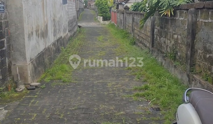 Dijual Rumah Singapadu Dekat Bali Zoo Buc  2