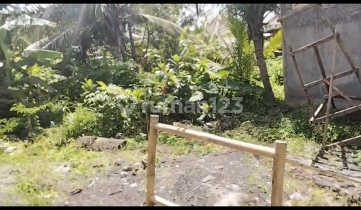 Jual Tanah Bonus Bangunan Ubud