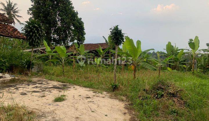 Kavling Perkebunan di Blok Cipasung Sukabumi 1