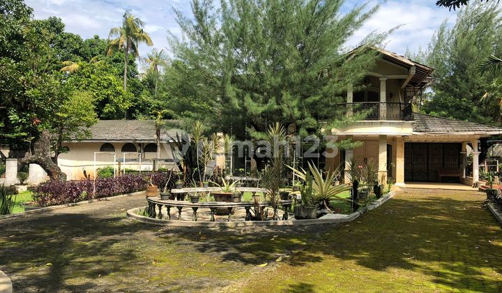 2-Story House With A Spacious And Lush Garden In Jagakarsa, South Jakarta