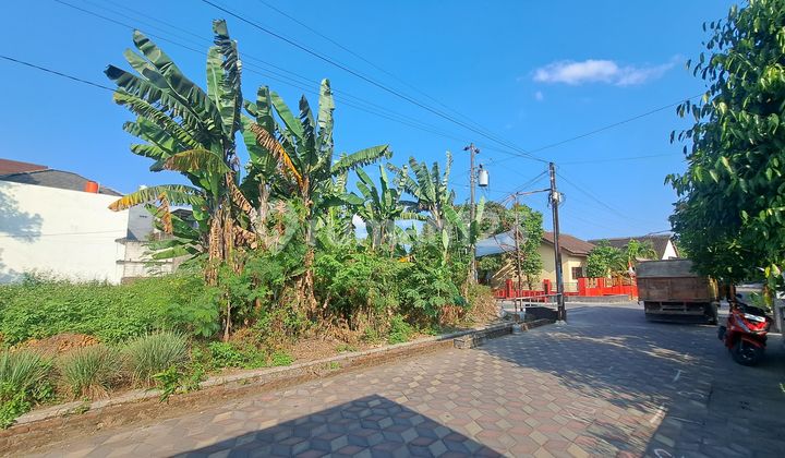 Tanah Solo, SHM: Dekat Luwes Gentan, Bisa Pesan Bangun, DP Ringan