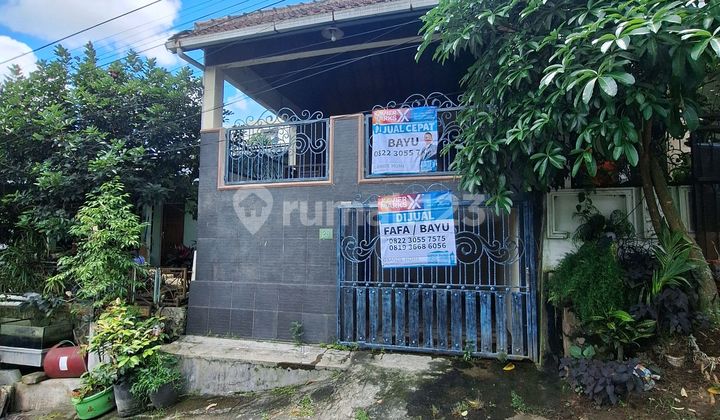 Sell.fast.teluk.menado Near.araya Malang 2