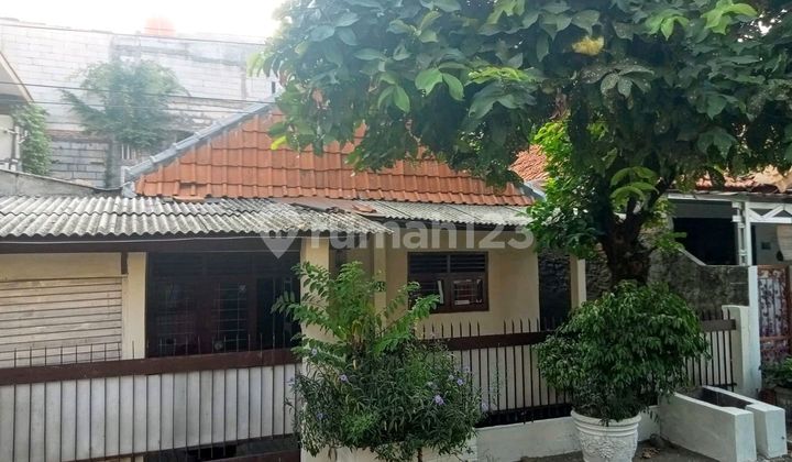 Rumah Asri di Pulomas Belakang Pacuan Kuda Jual Murah