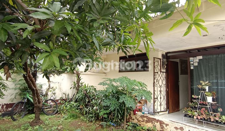 RUMAH TUA DI MENTENG WADAS JUAL BU RUMAH TUA DI MENTENG WADAS JUAL BU