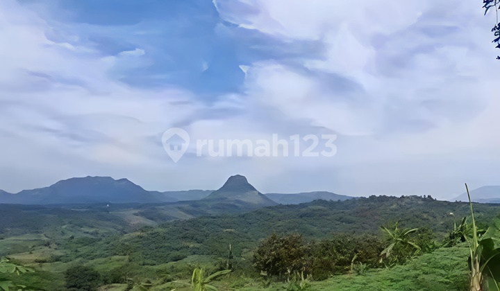 Lahan 2,3 Ha Zona Kuning : Peluang Emas Usaha di Jalur Strategis!