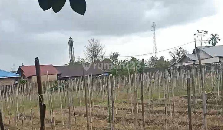 Dijual Tanah untuk Villa / Resort Berastagi Tanah 1